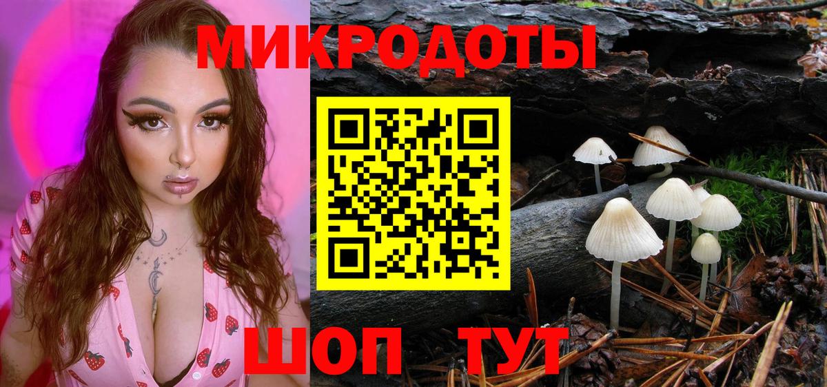 Псилоцибиновые грибы Psilocybe  Вход с VPN  Стрежевой 